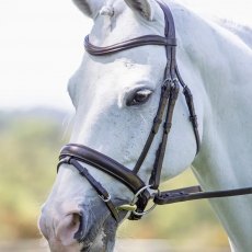 Rapida Dressage Bridle with Flash  