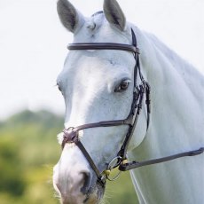 3/4 numbers EQUIDISC Top quality bridle number as approved by British Dressage 