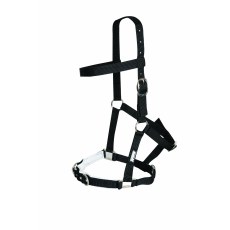 Kincade Nylon Padded Lunge Cavesson Kincade Nylon Padded Lunge Cavesson