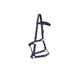 Kincade Nylon Padded Lunge Cavesson Kincade Nylon Padded Lunge Cavesson