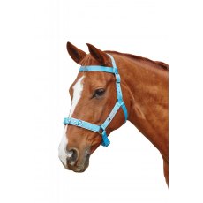 Kincade Brights Nylon Padded Lunge Cavesson