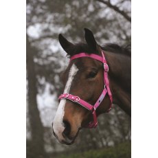 Kincade Brights Nylon Padded Lunge Cavesson