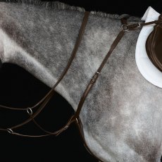 Collegiate Hunter Breastplate IV