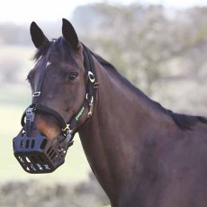 Shires Greenguard Headcollar