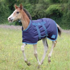 Shires Tempest Original 200 Foal Turnout Rug