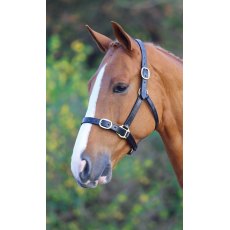 Velociti Gara Fully Adjustable Leather Headcollar