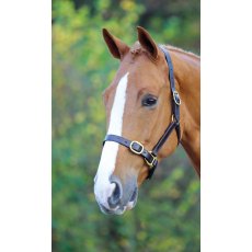 Velociti Gara Fully Adjustable Leather Headcollar