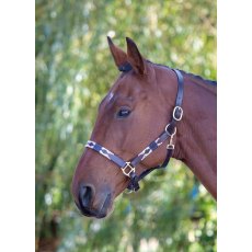 Velociti Gara Leather Polo Headcollar