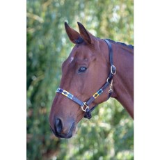Velociti Gara Leather Polo Headcollar Velociti Gara Leather Polo Headcollar
