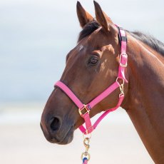 Shires Topaz Nylon Headcollar