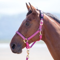 Shires Topaz Nylon Headcollar Shires Topaz Nylon Headcollar