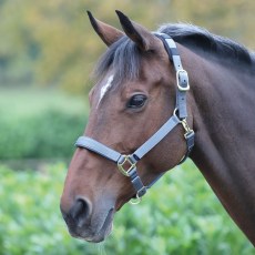 Shires Topaz Nylon Headcollar Shires Topaz Nylon Headcollar