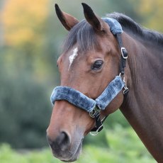 Shires Fleece Lined Headcollar