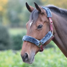 Shires Fleece Lined Headcollar