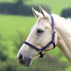 Shires Wessex Headcollar