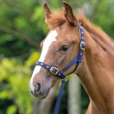 Shires Foal Slip