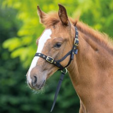 Shires Foal Slip Shires Foal Slip