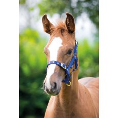 Shires Foal Headcollar Shires Foal Headcollar