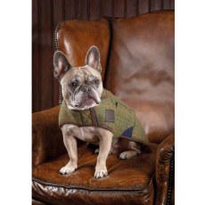 Shires Digby & Fox Tweed Dog Coat Shires Digby & Fox Tweed Dog Coat