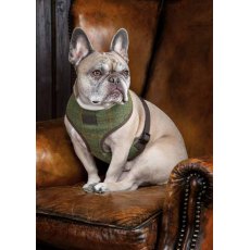 Shires Digby & Fox Tweed Dog Harness