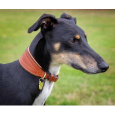 Shires Padded Greyhound Collar
