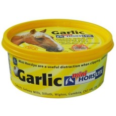 Garlic
