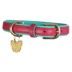 Shires Digby & Fox Leather Padded Dog Collar Shires Digby & Fox Leather Padded Dog Collar