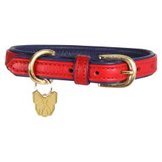 Shires Digby & Fox Leather Padded Dog Collar Shires Digby & Fox Leather Padded Dog Collar