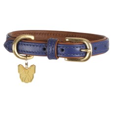Shires Digby & Fox Leather Padded Dog Collar Shires Digby & Fox Leather Padded Dog Collar