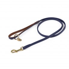 Shires Digby & Fox Padded Leather Dog Lead