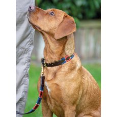 Shires Digby & Fox Drover Polo Dog Collar