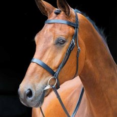 Shires Salisbury Berrington Bridle