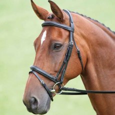 Shires Salisbury Bodenham Bridle