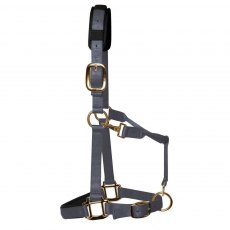 KM Elite Padded Headcollar