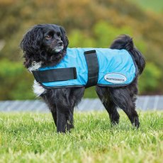 Weatherbeeta Therapy-Tec Cooling Dog Coat