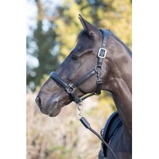 LeMieux Anatomic Leather Headcollar Black