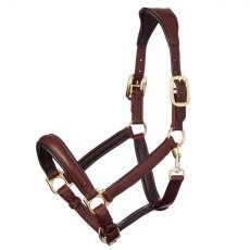 LeMieux Anatomic Leather Headcollar Brown