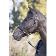 LeMieux Anatomic Leather Headcollar Brown