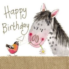 Alex Clark Pretty Pony Birthday Card