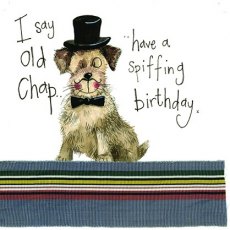 Alex Clark Posh Paws Birthday Card