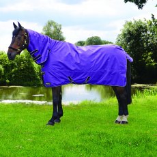 StormX Original 50 Combi Turnout Rug