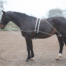 Kincade Horse Lunging Elastic Chambon Training Strap ALL SIZES & COLOURS 