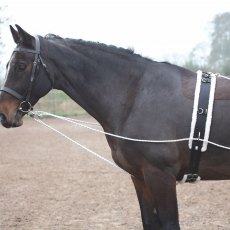 Shires Lunging Aid