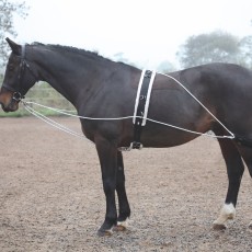 Shires Lunging Aid Shires Lunging Aid