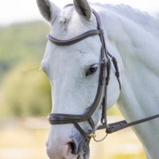 Rapida Ergonomic Curved Flash Bridle  