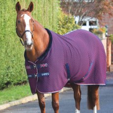 Shires Tempest Original Team Shires Show Rug