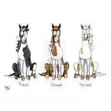 Emily Cole Poo-bald Greeting Card