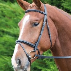 Gara Raised Flash Bridle  