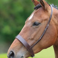 Gara Hunter Cavesson Noseband