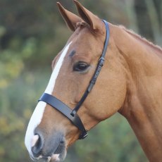 Gara Hunter Cavesson Noseband